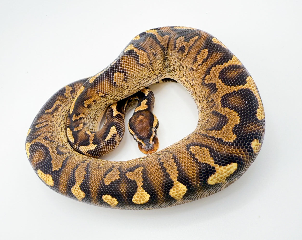 スーパーアスファルト