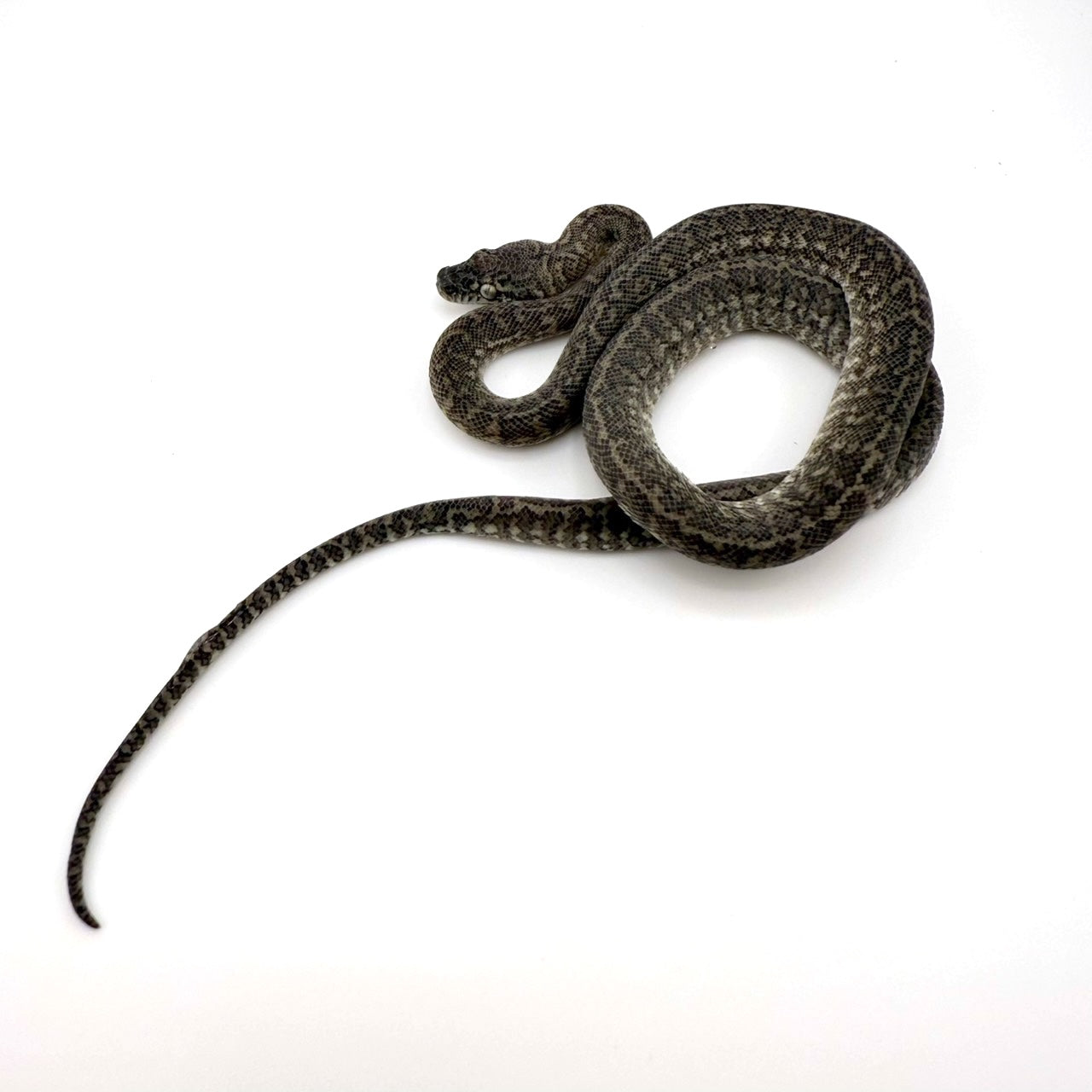 アザングラナイト