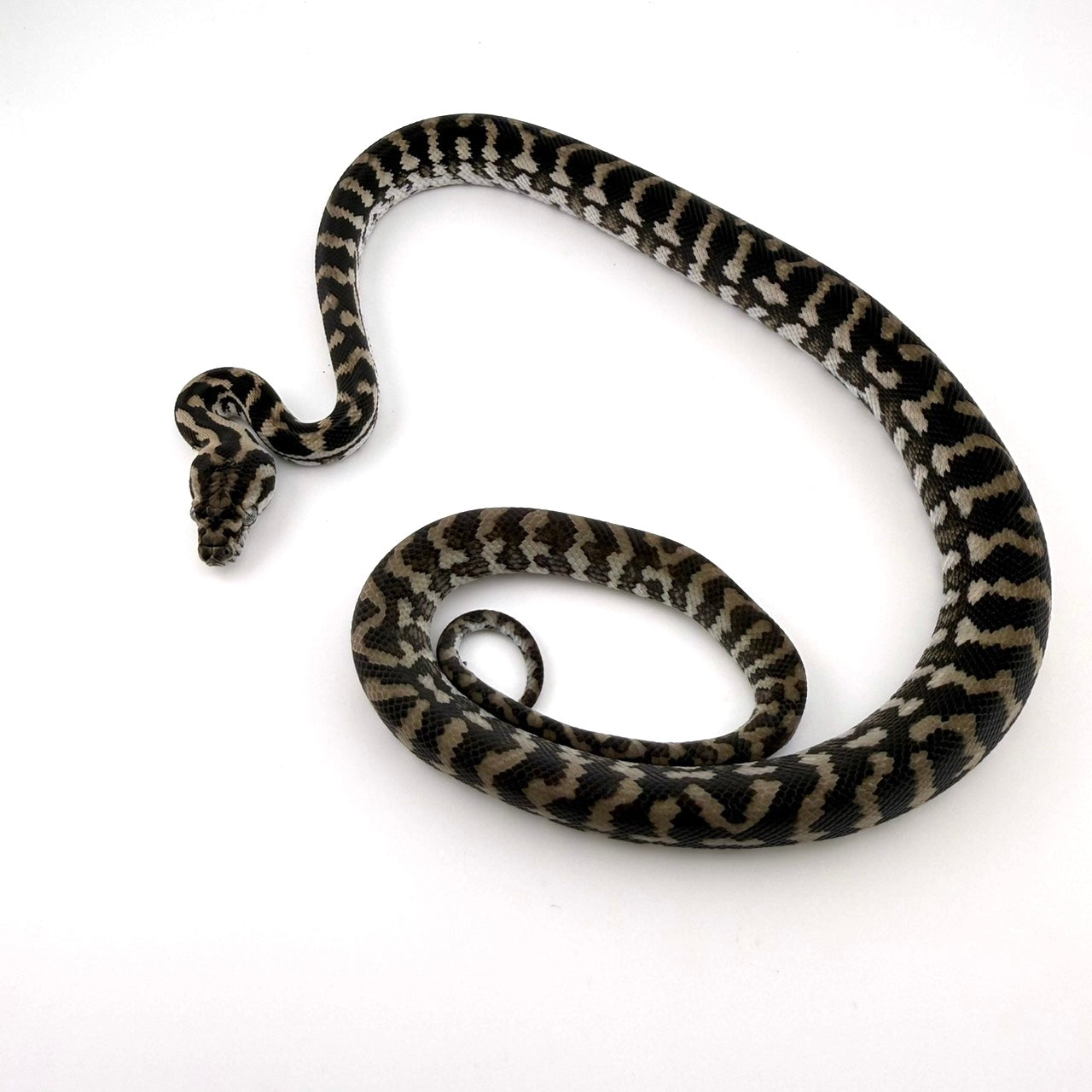 アザンhetスノー