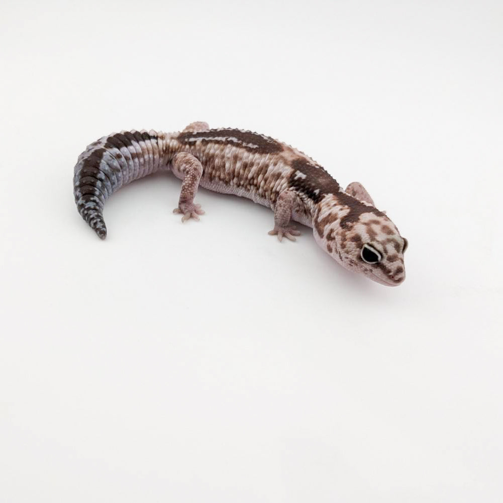 Woズールーhetキャラメル