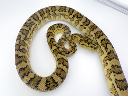 Hypo het Granite