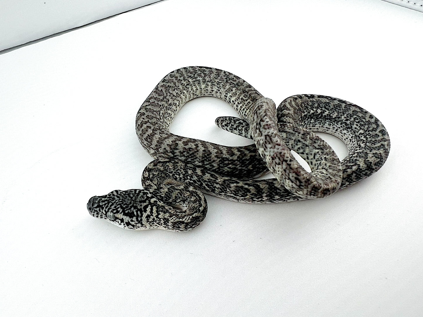 アザンティックグラナイト