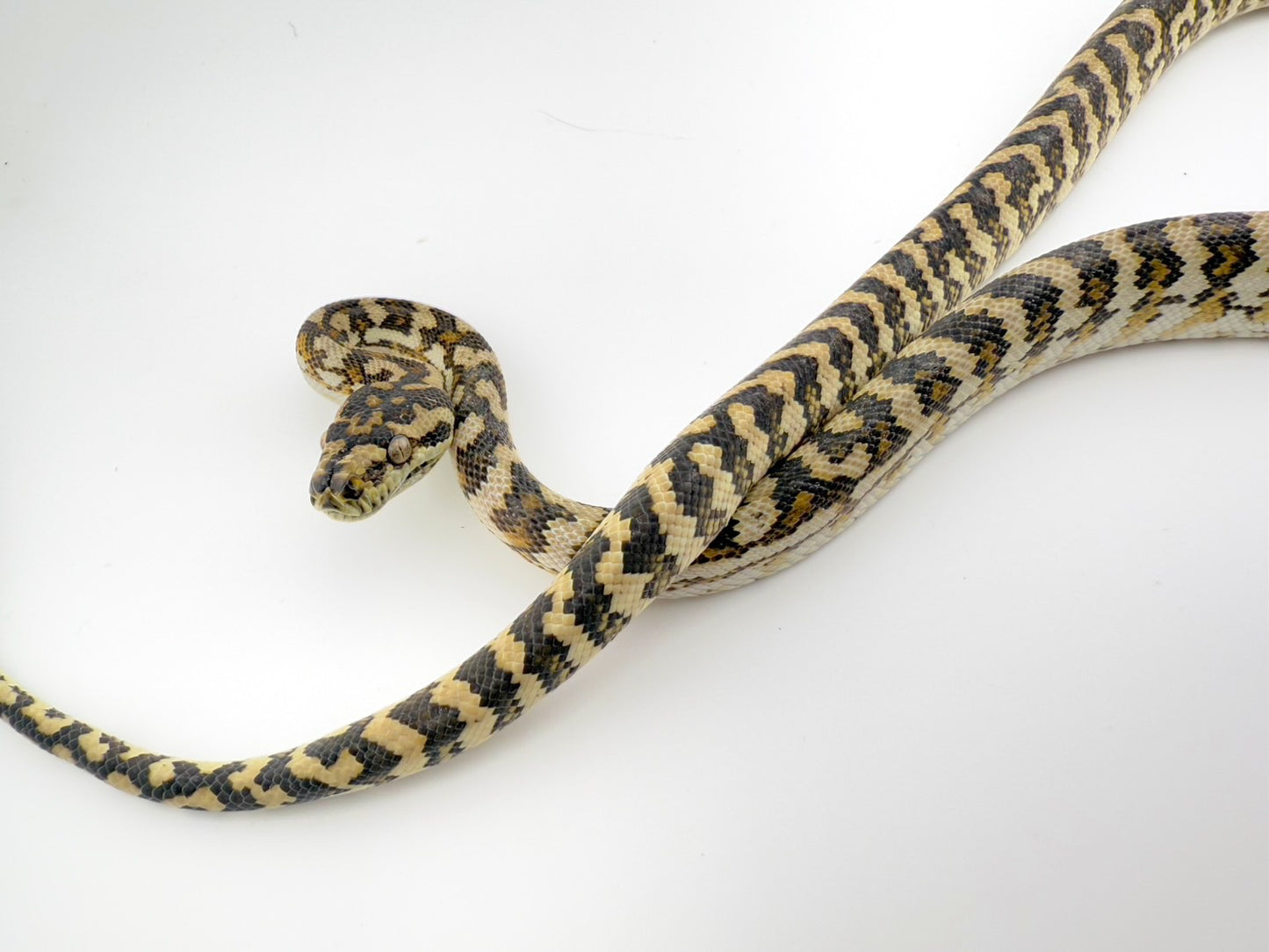 ハイポhetアザン