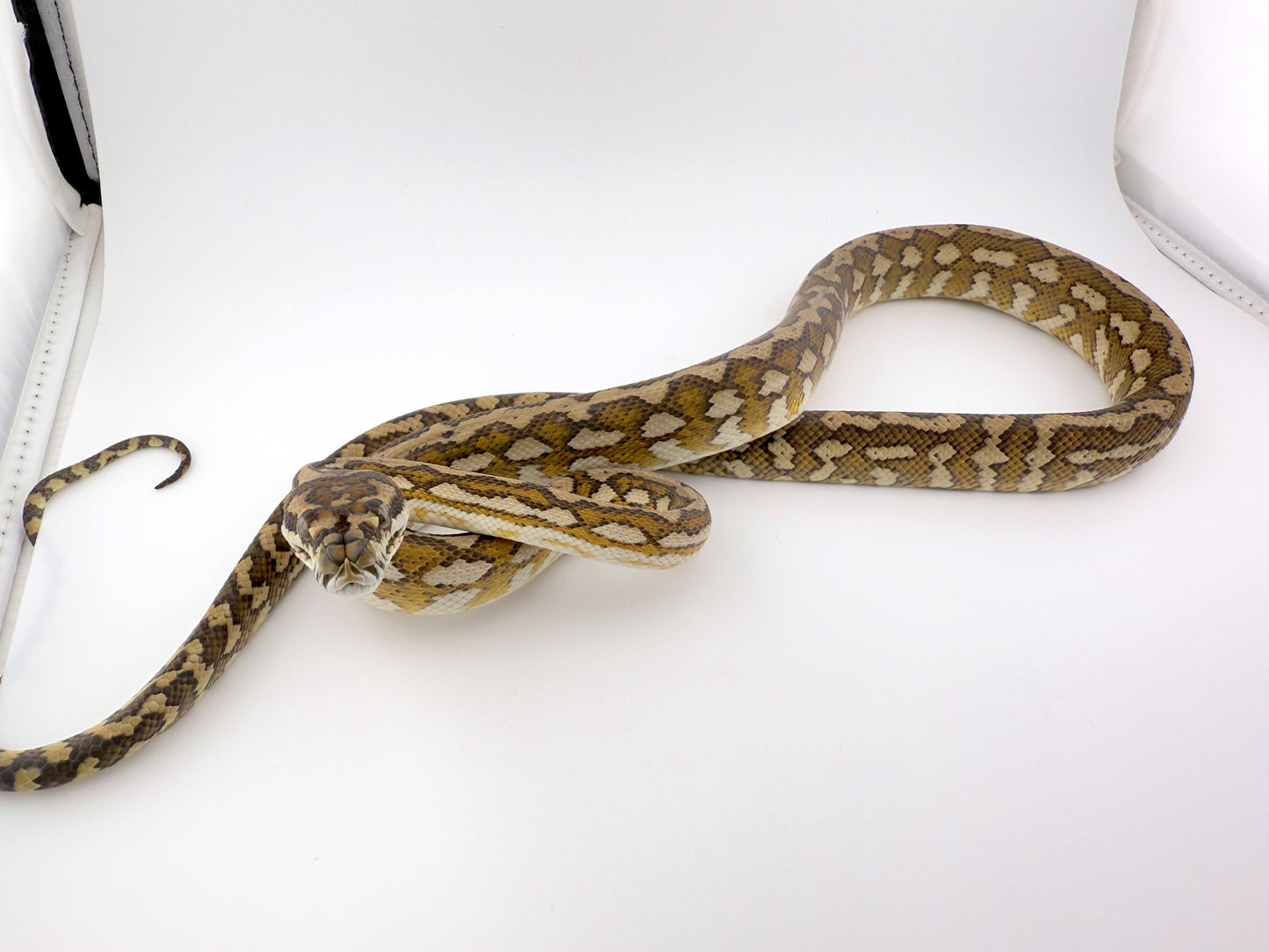 ハイポhetアザン